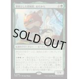 (FOIL)溌剌とした探検家、おたから/Loot, Exuberant Explorer《日本語》【FDN】