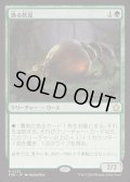 [EX+](FOIL)漁る軟泥/Scavenging Ooze《日本語》【FDN】