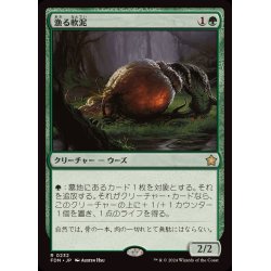 画像1: 漁る軟泥/Scavenging Ooze《日本語》【FDN】