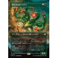 (FOIL)(フルアート)(0337)苔生まれのハイドラ/Mossborn Hydra《日本語》【FDN】