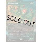 (FOIL)(フルアート)(0337)苔生まれのハイドラ/Mossborn Hydra《日本語》【FDN】