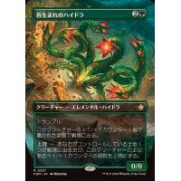 (フルアート)(0337)苔生まれのハイドラ/Mossborn Hydra《日本語》【FDN】