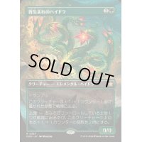 (FOIL)(フルアート)(0337)苔生まれのハイドラ/Mossborn Hydra《日本語》【FDN】