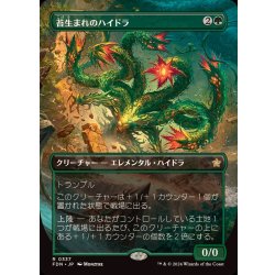 画像1: (FOIL)(フルアート)(0337)苔生まれのハイドラ/Mossborn Hydra《日本語》【FDN】