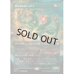画像1: (フルアート)(0337)苔生まれのハイドラ/Mossborn Hydra《日本語》【FDN】