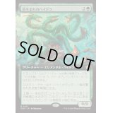 (FOIL)(フルアート)(0471)苔生まれのハイドラ/Mossborn Hydra《日本語》【FDN】