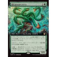 (フルアート)(0471)苔生まれのハイドラ/Mossborn Hydra《日本語》【FDN】