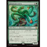 (FOIL)苔生まれのハイドラ/Mossborn Hydra《日本語》【FDN】