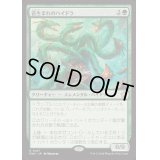 (FOIL)苔生まれのハイドラ/Mossborn Hydra《日本語》【FDN】