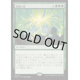 [EX+](FOIL)起源の波/Genesis Wave《日本語》【FDN】