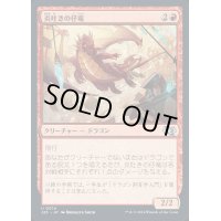 炎吐きの仔竜/Firespitter Whelp《日本語》【J25】