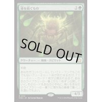(FOIL)魂を紡ぐもの/Spinner of Souls《日本語》【FDN】