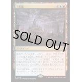 [EX+](FOIL)千年嵐/Thousand-Year Storm《日本語》【FDN】