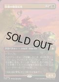 [EX+](FOIL)(フルアート)(0345)灰根の精霊信者/Ashroot Animist《日本語》【FDN】