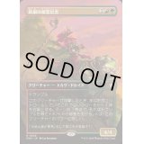 (FOIL)(フルアート)(0345)灰根の精霊信者/Ashroot Animist《日本語》【FDN】