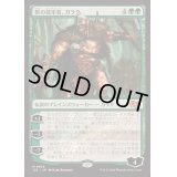 [EX+]獣の統率者、ガラク/Garruk, Caller of Beasts《日本語》【J25】