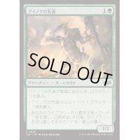 アイノクの先達/Ainok Guide《日本語》【J25】