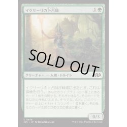 画像1: [EX+]イクサーリの卜占師/Ixalli's Diviner《日本語》【J25】