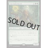 [EX+]エルフの大ドルイド/Elvish Archdruid《日本語》【J25】