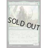 エルフの大ドルイド、ダイオヌス/Dionus, Elvish Archdruid《日本語》【J25】