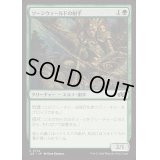 ソーンウィールドの射手/Thornweald Archer《日本語》【J25】
