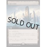 (フルアート)(0487)魂石の聖域/Soulstone Sanctuary《日本語》【FDN】