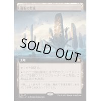 (FOIL)(フルアート)(0487)魂石の聖域/Soulstone Sanctuary《日本語》【FDN】