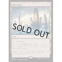 [EX](FOIL)魂石の聖域/Soulstone Sanctuary《日本語》【FDN】