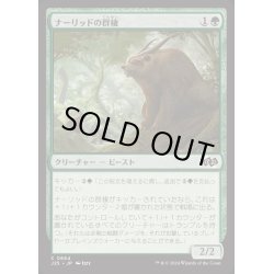 画像1: [EX+]ナーリッドの群棲/Gnarlid Colony《日本語》【J25】
