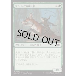 画像1: [EX+]マラリーフの乗り手/Maraleaf Rider《日本語》【J25】