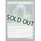 ラノワールの幻想家/Llanowar Visionary《日本語》【J25】