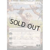 (FOIL)(フルアート)群れの統率者アジャニ/Ajani, Caller of the Pride《日本語》【FDN】