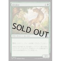刷毛履き/Brushstrider《日本語》【J25】