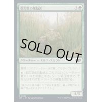 剃刀草の発動者/Razorgrass Invoker《日本語》【J25】