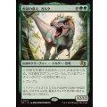 原初の飢え、ガルタ/Ghalta, Primal Hunger《日本語》【J25】
