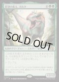 [EX+]原初の飢え、ガルタ/Ghalta, Primal Hunger《日本語》【J25】