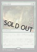 原始の報奨/Primeval Bounty《日本語》【J25】