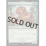 古木のヴァーデロス/Verdeloth the Ancient《日本語》【J25】