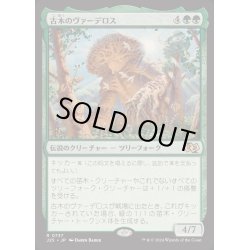 画像1: [EX+]古木のヴァーデロス/Verdeloth the Ancient《日本語》【J25】