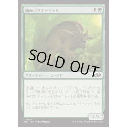 画像1: [EX+]噛み付きナーリッド/Snapping Gnarlid《日本語》【J25】