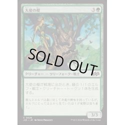 画像1: [EX+]大使の樫/Ambassador Oak《日本語》【J25】