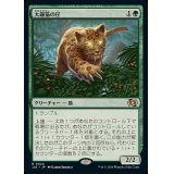 [EX+]大鎌猫の仔/Scythecat Cub《日本語》【J25】
