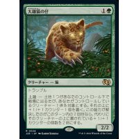 大鎌猫の仔/Scythecat Cub《日本語》【J25】
