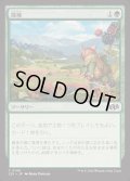 [EX+]探検/Explore《日本語》【J25】