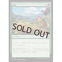[EX+]探検/Explore《日本語》【J25】