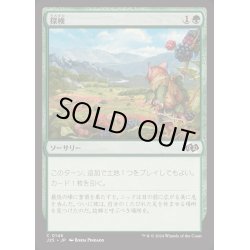 画像1: [EX+]探検/Explore《日本語》【J25】