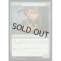 放牧の林鹿/Grazing Gladehart《日本語》【J25】