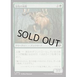 画像1: [EX+]放牧の林鹿/Grazing Gladehart《日本語》【J25】