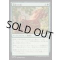 狼乗りの鞍/Wolfrider's Saddle《日本語》【J25】