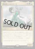 [EX+](FOIL)墓場波、ムルドローサ/Muldrotha, the Gravetide《日本語》【FDN】